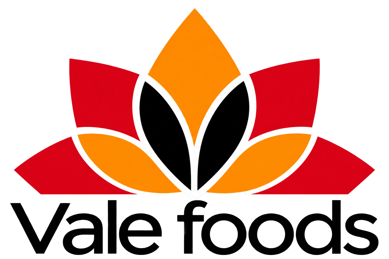 Vale Foods Distribuidora